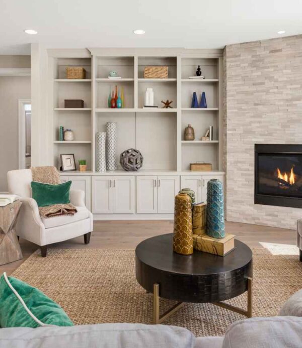 Home Living Room Organization Storage & Services In Chicago